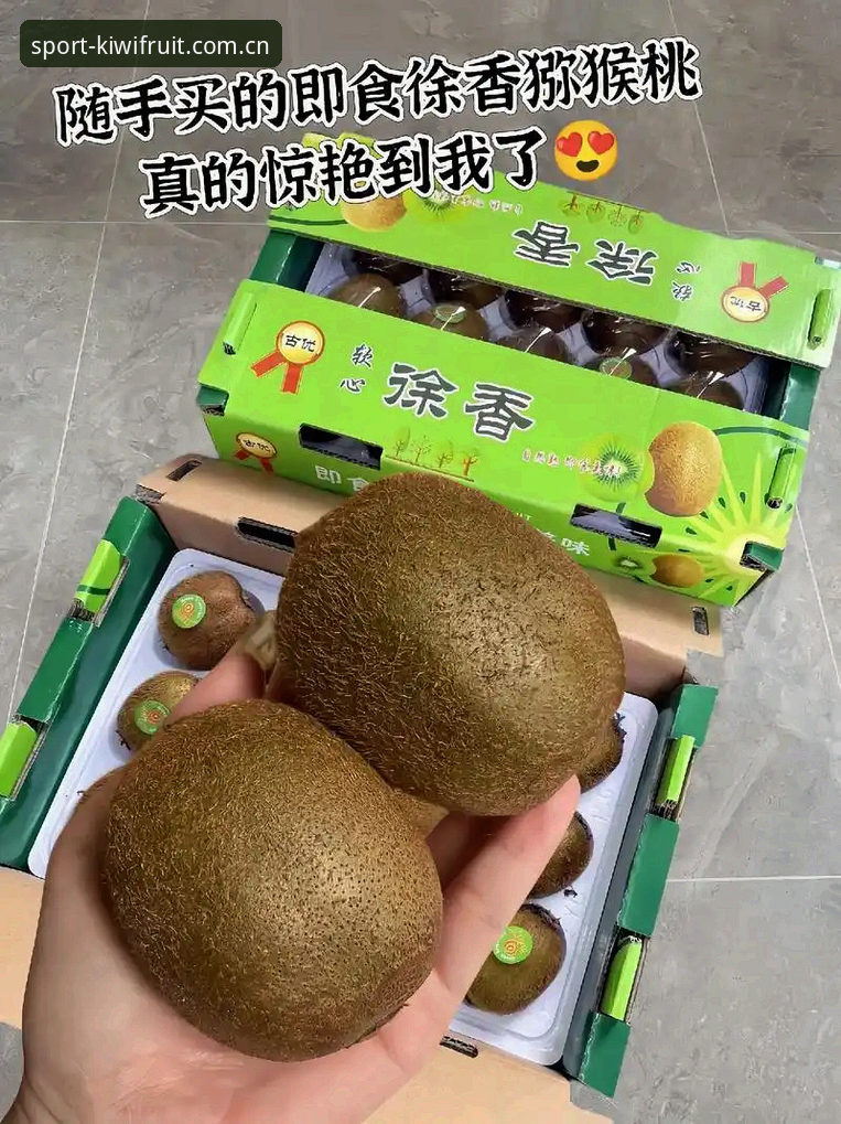 奇异果体育好用吗 奇异果体育平台使用指南:新手入门与完整体验分享